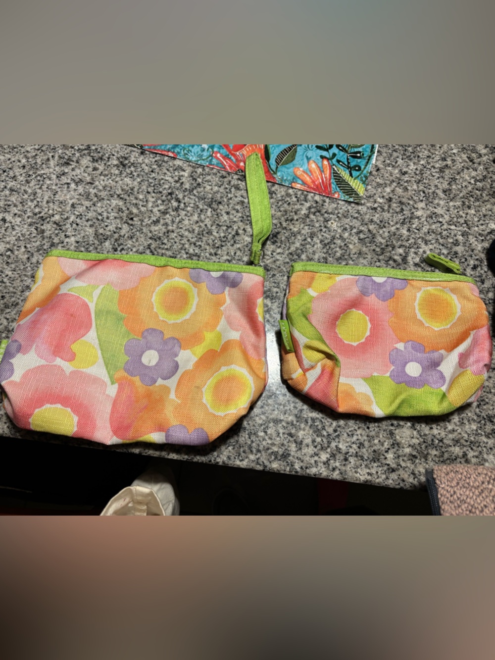Clinique Spring Floral Cosmetic Pouches big and small